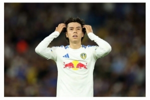 TA：利兹联中场田中碧内侧副韧带受伤，将伤缺数周时间