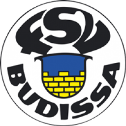 VfB1921
