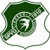 TSV梅尔布施